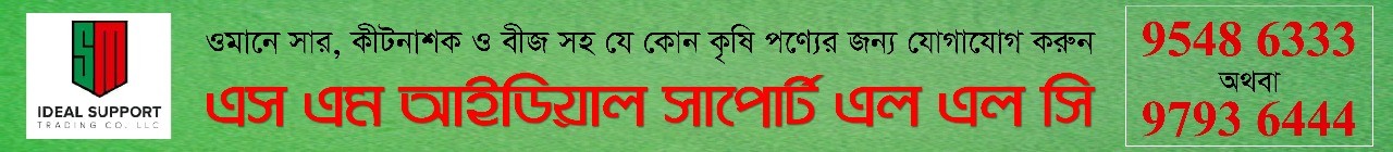 করোনা দ্বিতীয় ঢেউয়ে আতঙ্কে প্রবাসীরা