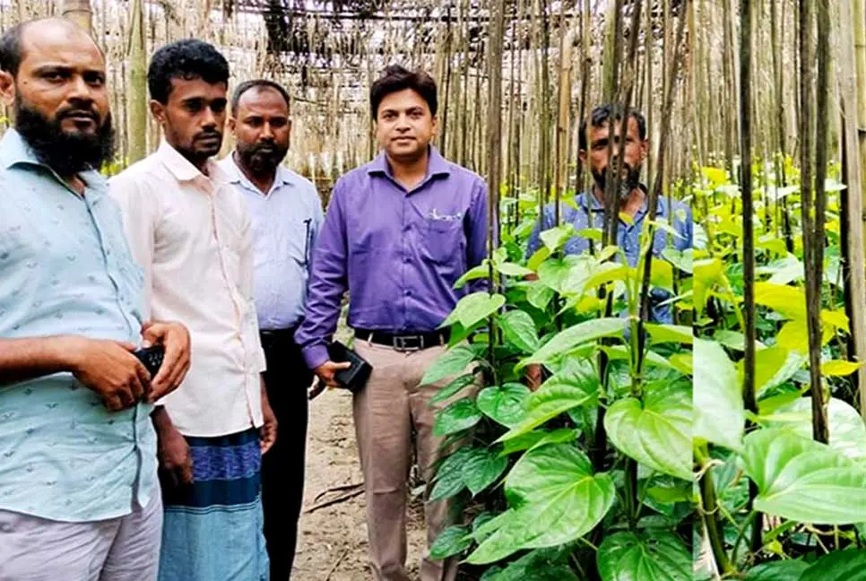যেভাবে ভাগ্যের চাকা ঘুরলো ওমান ফেরত প্রবাসীর