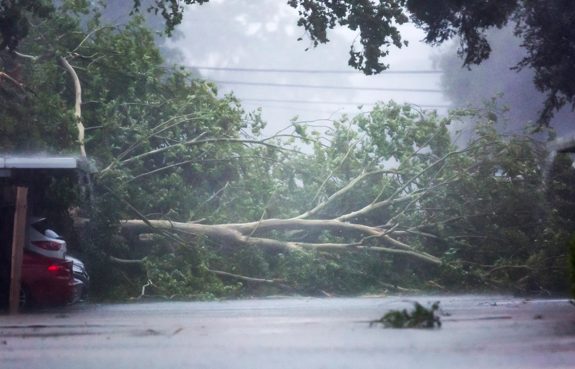 হারিকেন বেরিলের আঘাতে নিহত ৩, বাতিল ১৩০০ ফ্লাইট