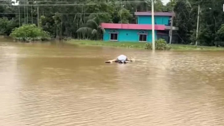 Image 843531 1724761273