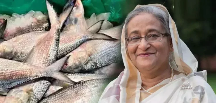 নিষেধাজ্ঞা সত্ত্বেও ভারতকে ইলিশ দিতেন শেখ হাসিনা