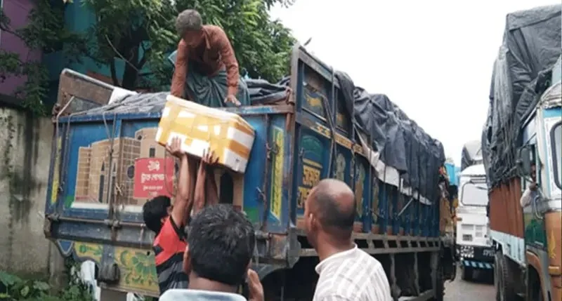 Benapole hilsha fish export 04 6