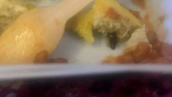 Air india cockroach 172758018168