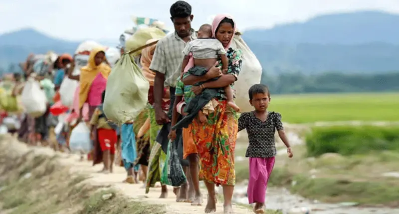 Rohinga 66dfdb01238fb