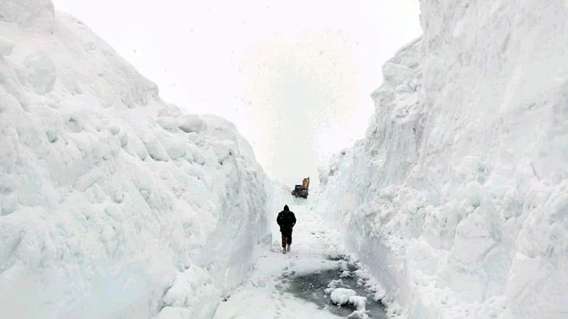 বিমান বিধ্বস্তের ৫৬ বছর পর বরফে জমে যাওয়া চারজনকে উদ্ধার