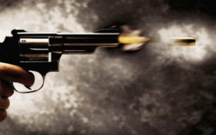 মেক্সিকোয় বন্দুক হামলায় ১০ জন নিহত