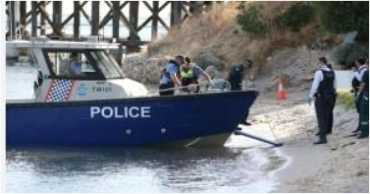 অস্ট্রেলিয়ায় হাঙরের আক্রমণে একজন নিহত