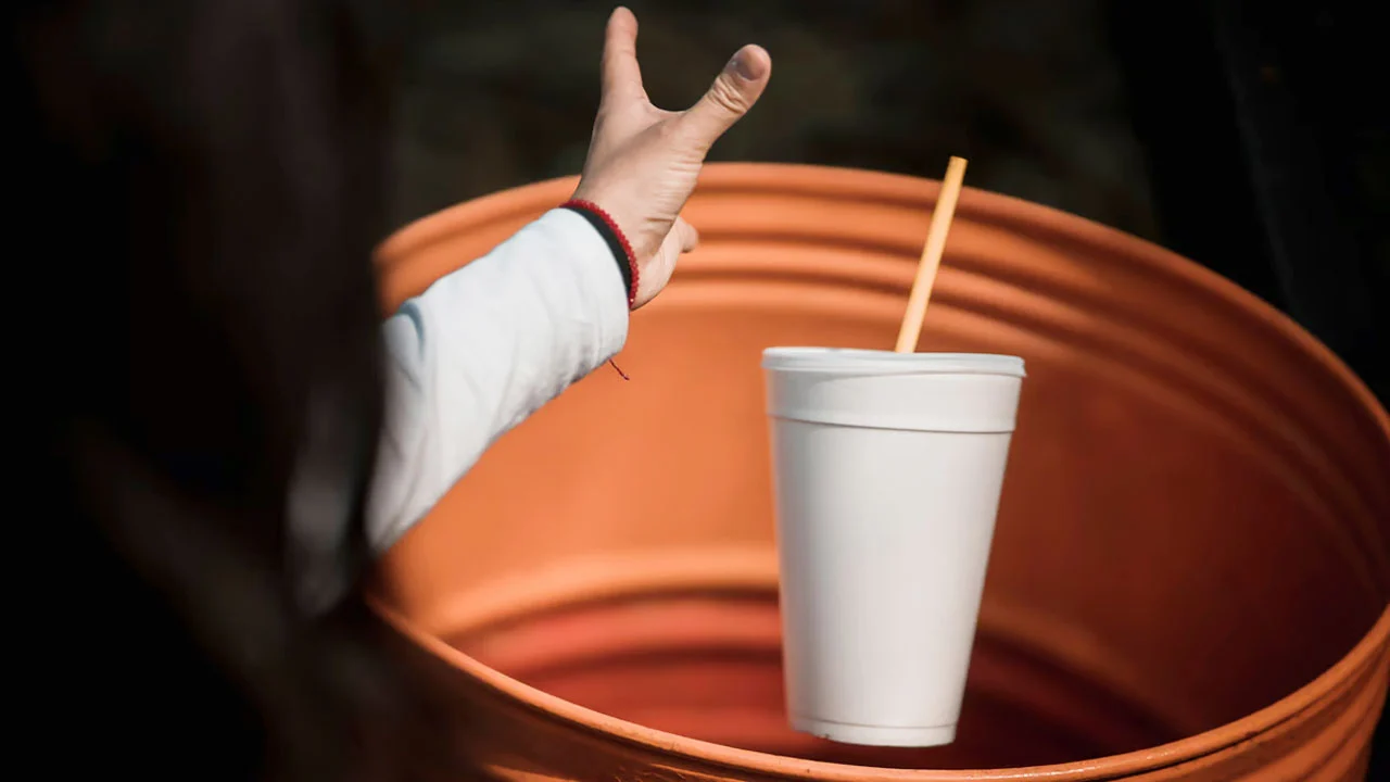 একবার ব্যবহারযোগ্য প্লাস্টিক নিষিদ্ধ করল দুবাই