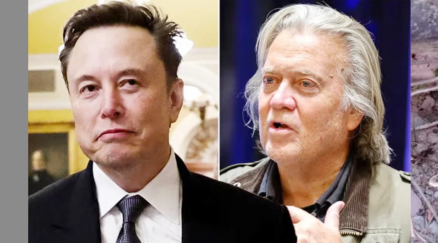 এলন মাস্ককে ধ্বংস করার প্রতিজ্ঞা করলেন ট্রাম্পের সাবেক উপদেষ্টা