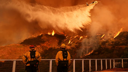 জ্বলন্ত লস অ্যাঞ্জেলসে দমকল কর্মী সেজে চুরি