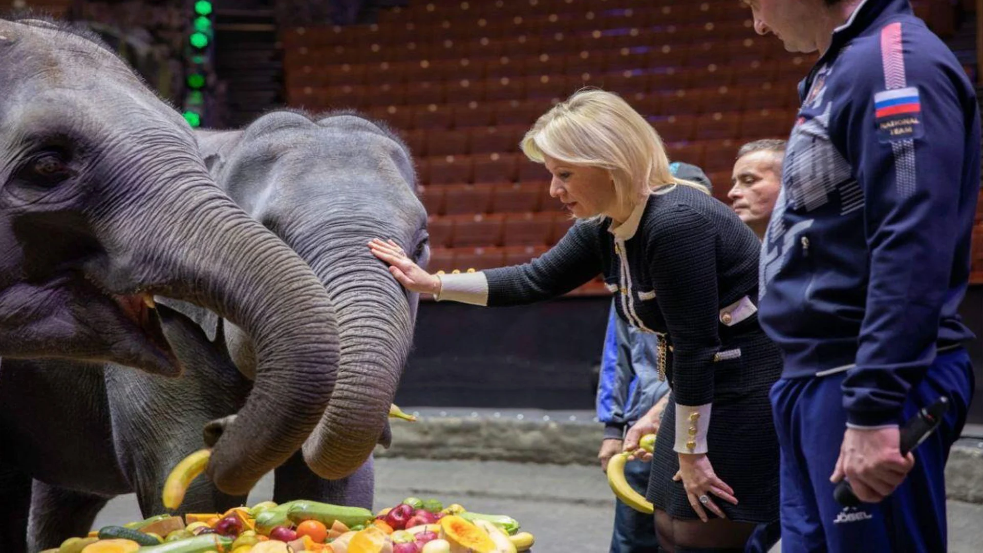 মিয়ানমারকে ছয় হাতির বিনিময়ে ছয় যুদ্ধবিমান দিলো রাশিয়া