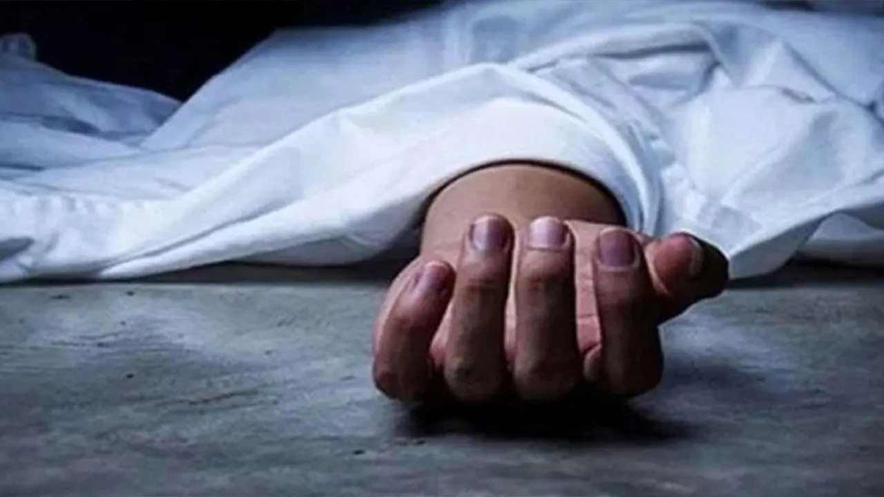 স্বামীকে বিমানবন্দরে আনতে না যাওয়ায় স্ত্রীর আত্মহত্যা