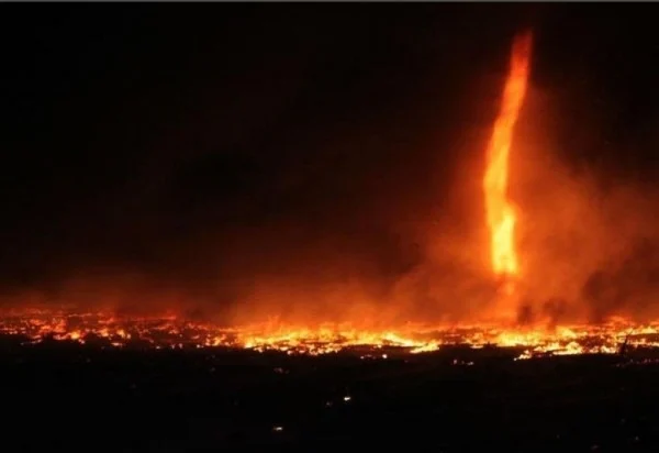 ‘আগুনে টর্নেডো’র আশঙ্কা, বড় আকারের নতুন দাবানলের সতর্কবার্তা