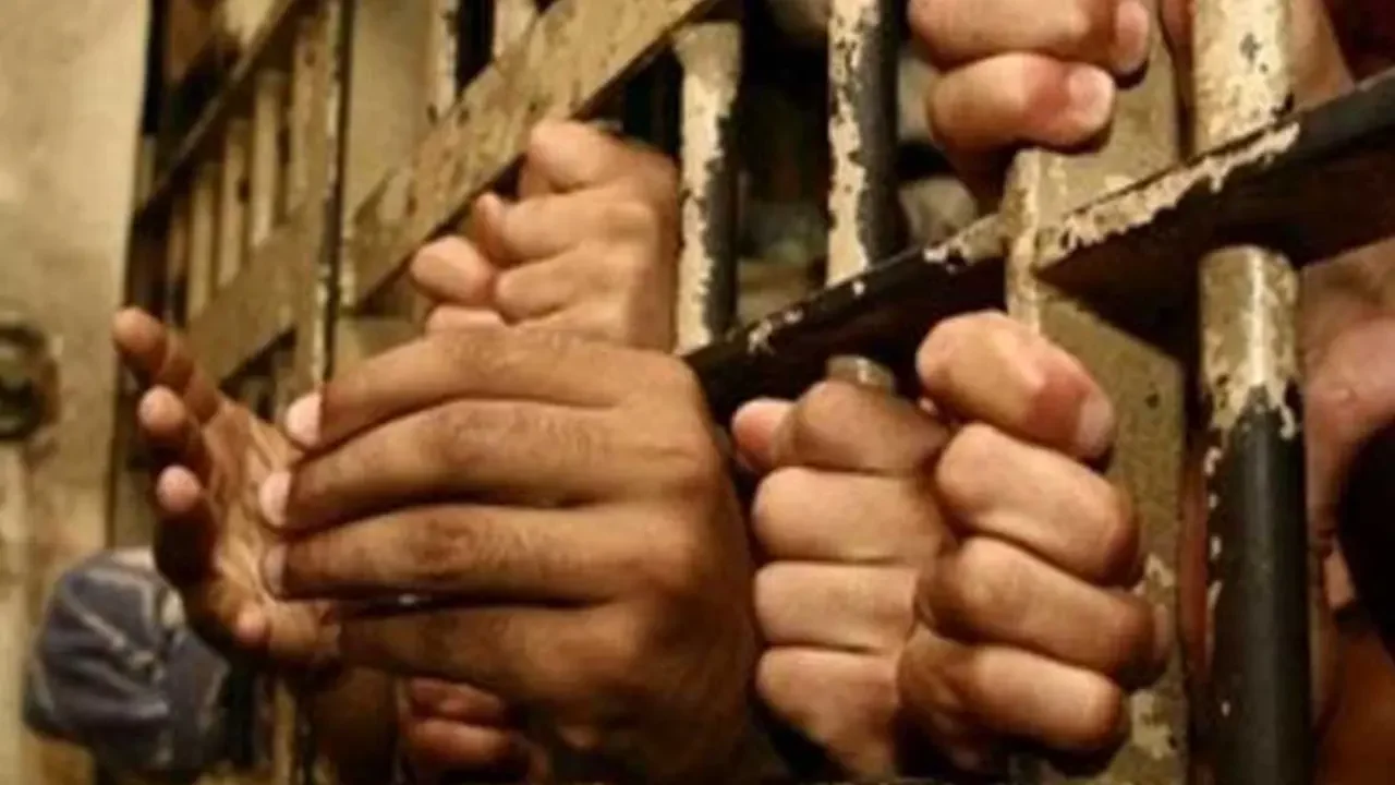 Image 167819 1740670599