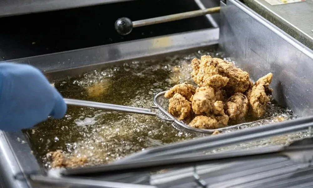 রান্নাঘরের তেলই কি হবে ভবিষ্যতের বিমানের জ্বালানি?