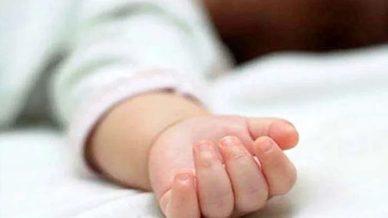 স্বামী প্রবাসে, ৩ বছরের সন্তানকে হত্যা করে পালালেন মা