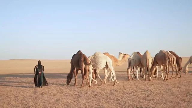 9564f6e383062230414ed968d5ca6273 682c1f6f43e4c