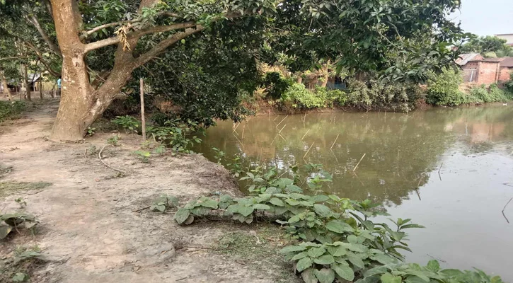 Allegation of land grabbing by an expatriate in manda