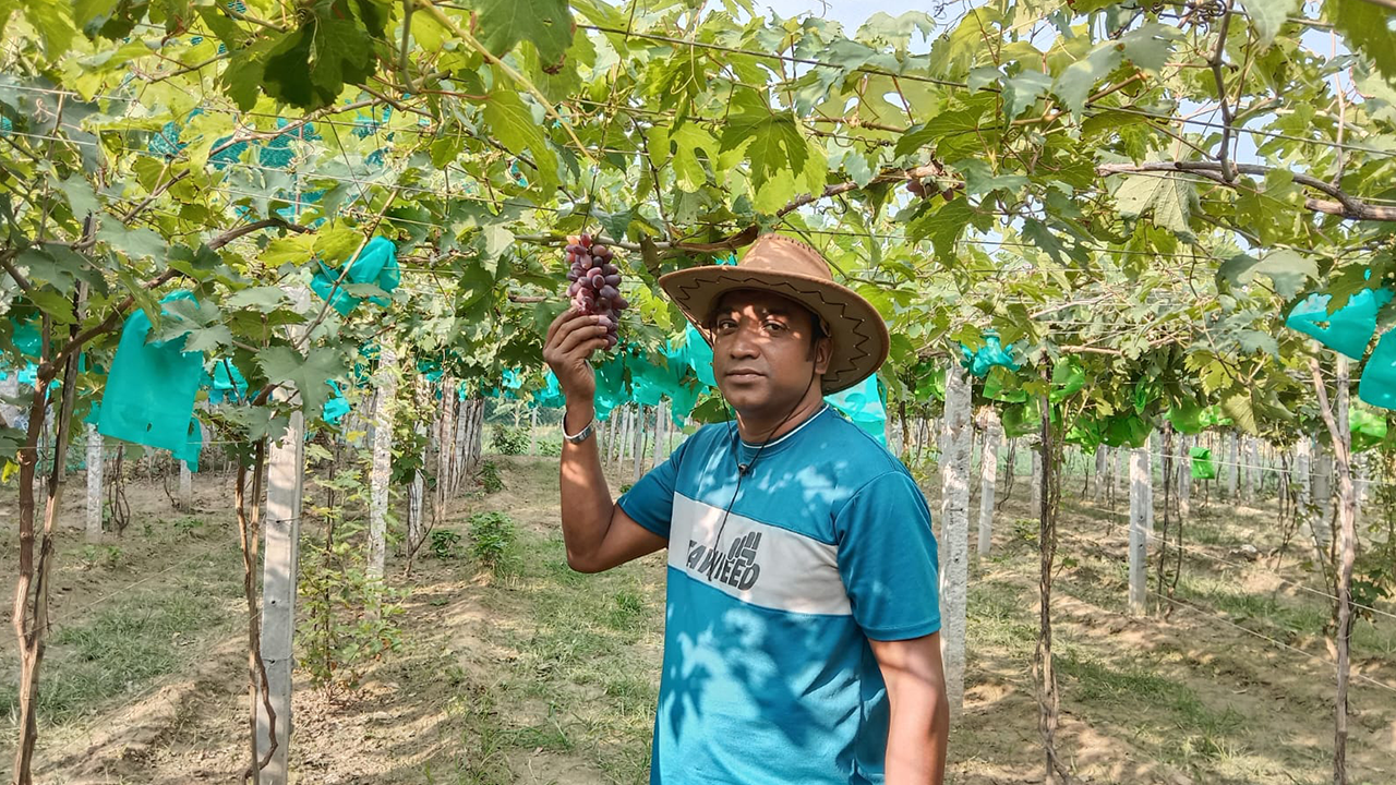 Expatriate kamruzzaman dreams of cultivating grapes