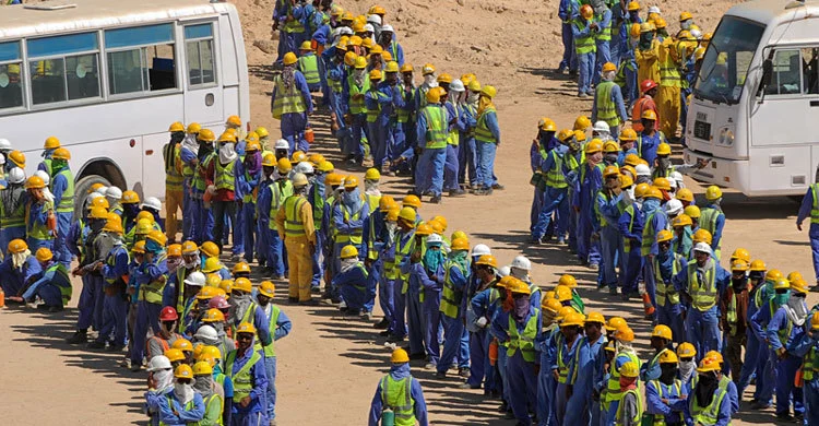 Highest death rate among expatriates in 2024, which country had the highest number of deaths