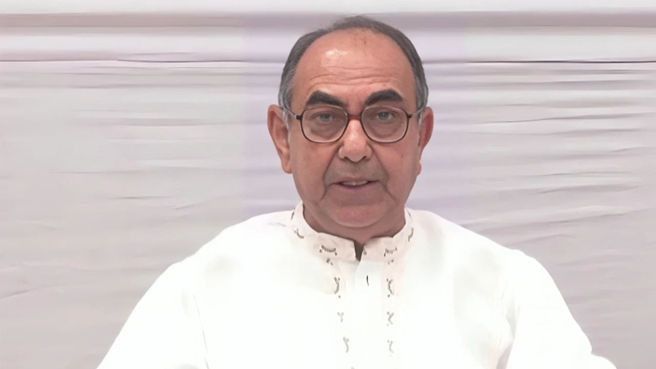 Most of the interim government is foreign nationals mirza abbas