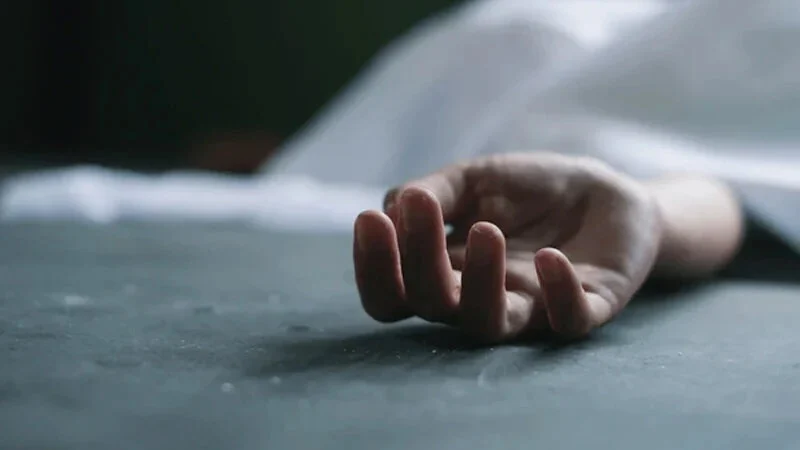 Saudi expatriate's wife dies after falling from mango tree