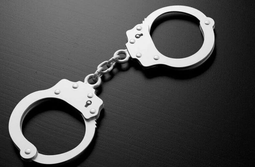 ওমানে অবৈধভাবে প্রবেশের দায়ে ১২ জন আটক