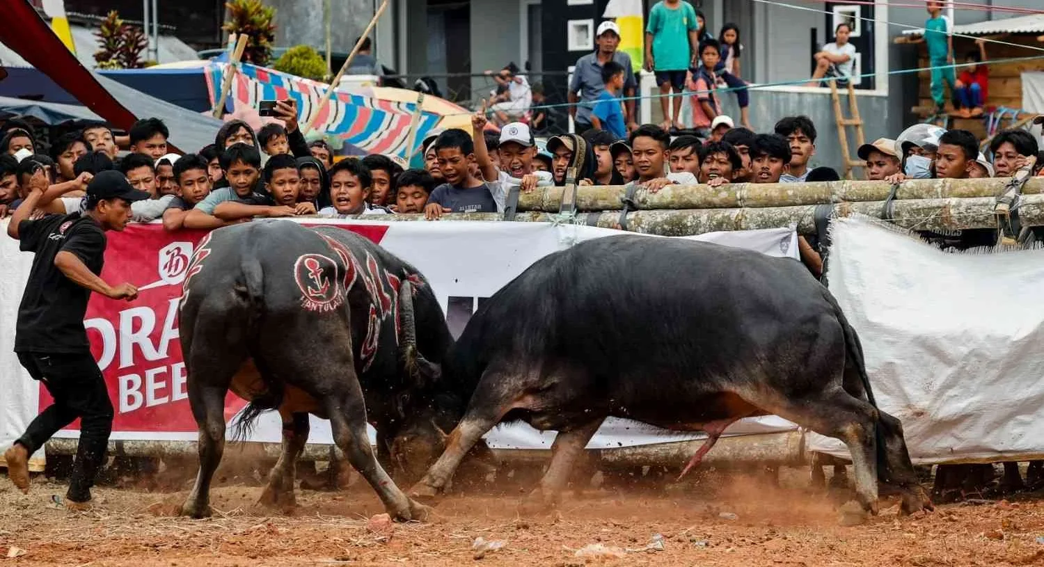 405torajaday1aug4 copy (1)