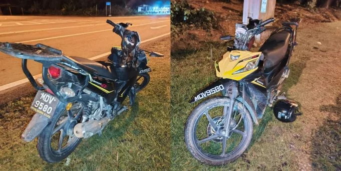 Bangladeshi dies after being hit by cow in malaysia