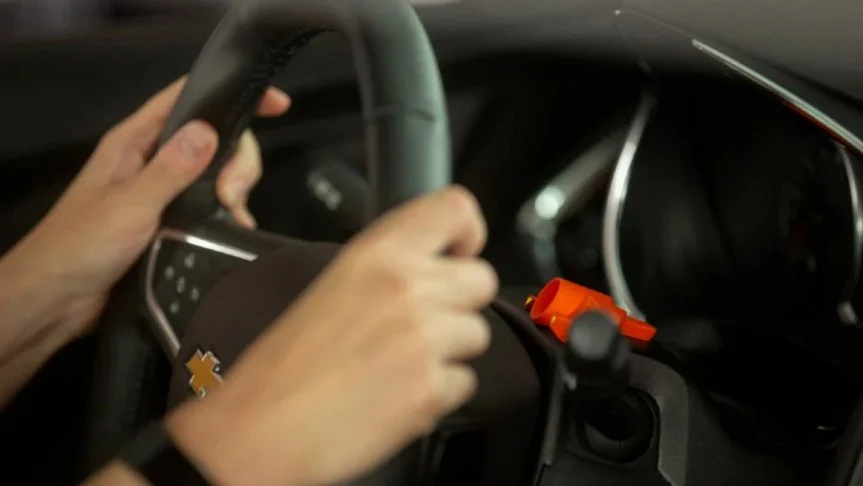 Uae offers free driving licenses