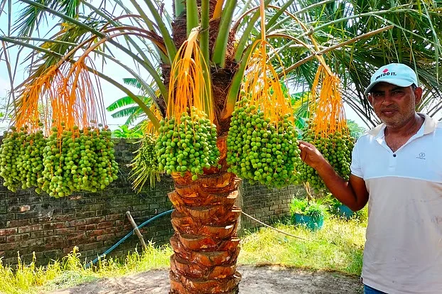 Prothomalo bangla2025 06 14mse4q