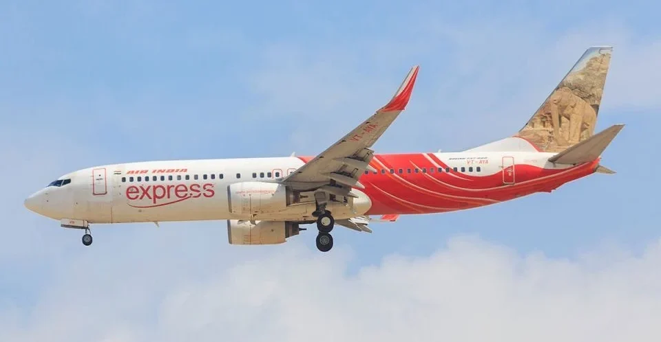 Live snake found on india bound flight again