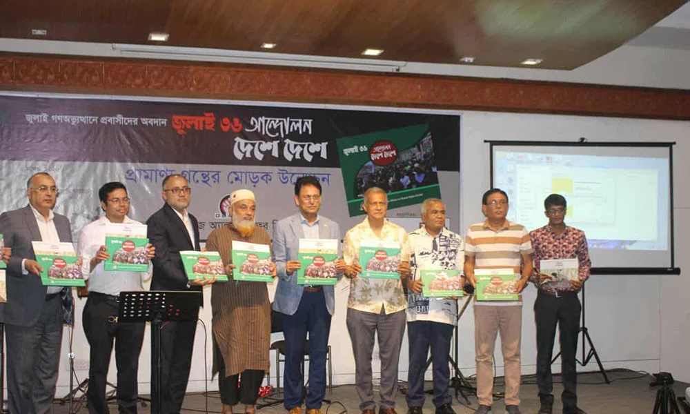 Expatriates seek recognition for contribution to july movement