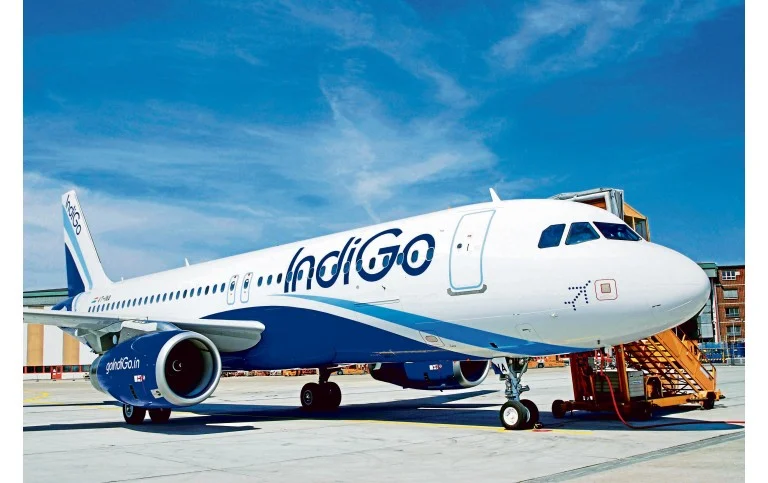 Indigo