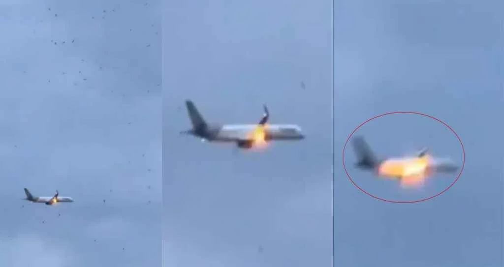 Web image 20250818 192158135