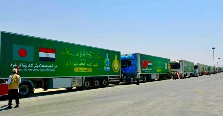 Gaja4 20250812084013