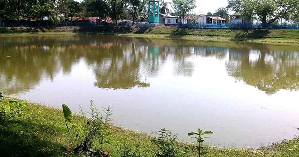 Housewife in the pond with her husband late at night, then...