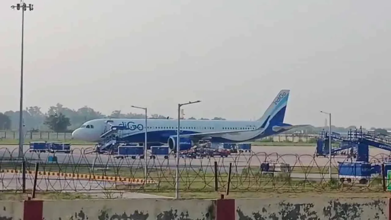 Indigo 20250922150935