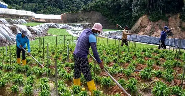 Malaysia gives good news about hiring foreign workers in three main sectors