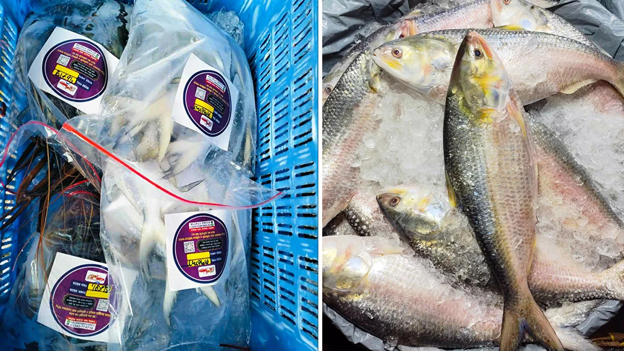 Cumilla 20251008121612