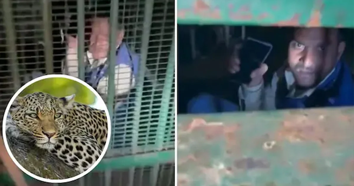 Forest officer gets stuck in cage while trying to catch leopard, then...