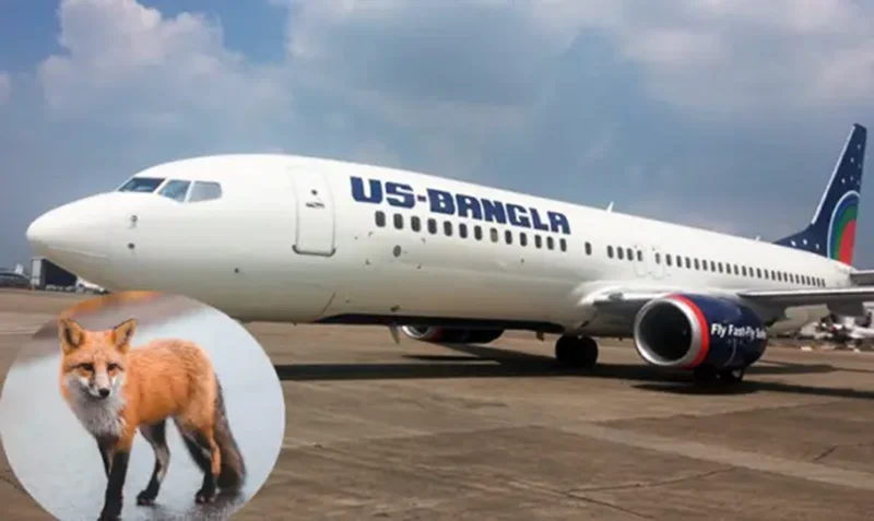 Fox on airport runway, flight stuck for 26 minutes
