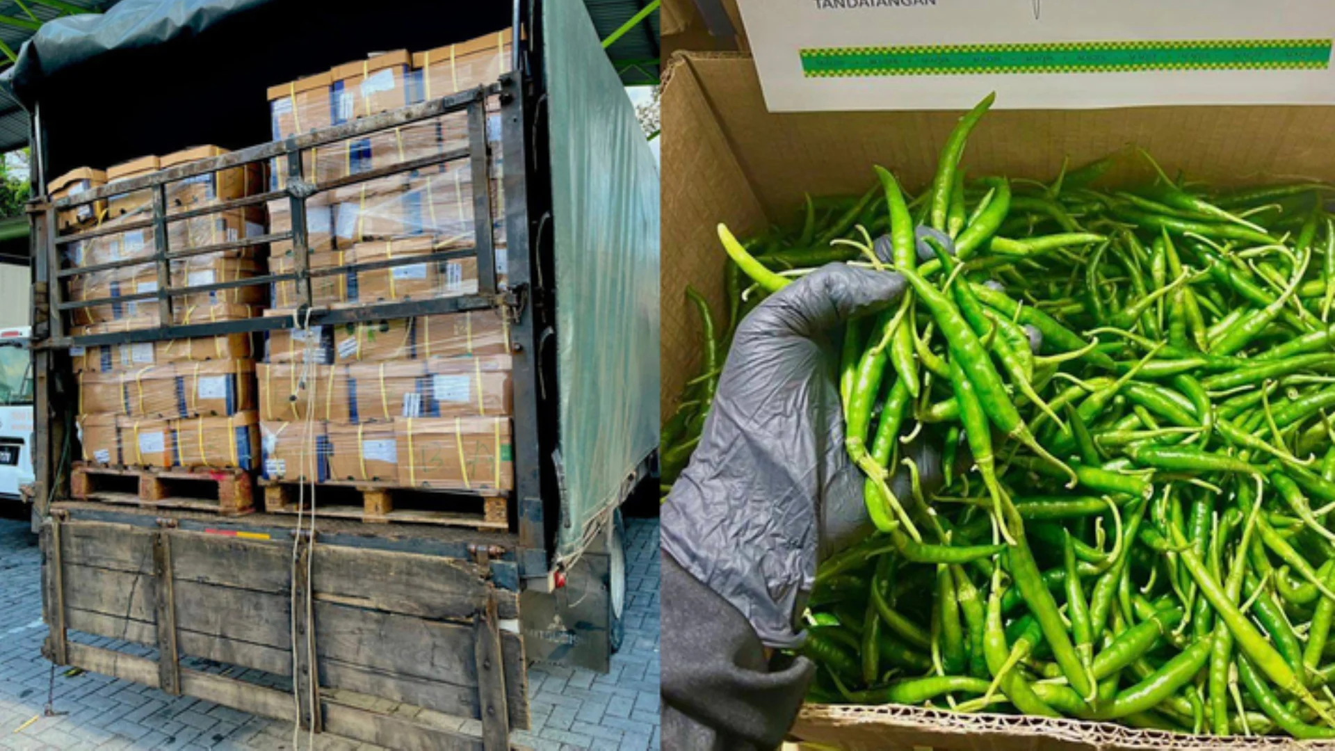 A632708d41c31f3d6af7f761b01c7c71c67a1d3a94088524