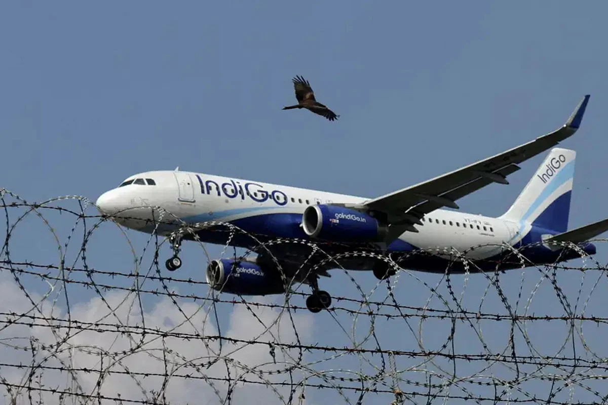 1769785538 8df7b73a7820f4aef47864f2a6c5fccf