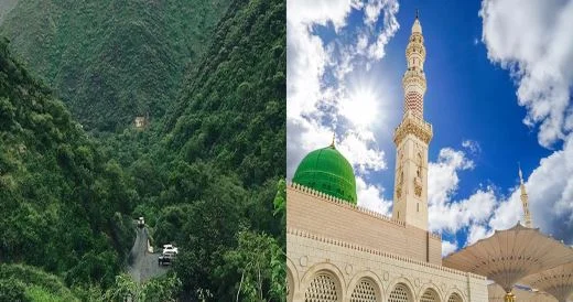 Saudi government plants 2.1 million trees in Medina