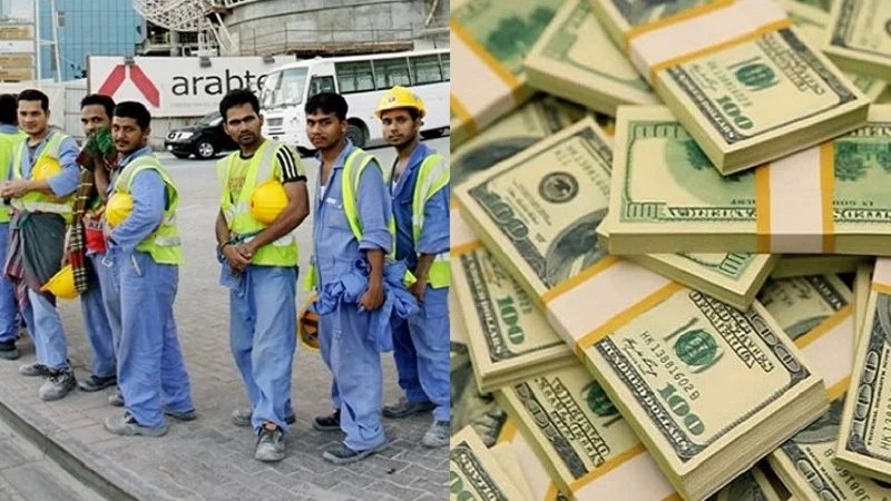 Doller 2 1664207729 1667738618 1670770041