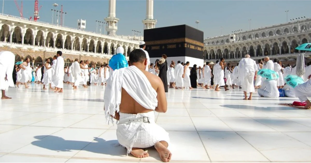 নির্দেশনা