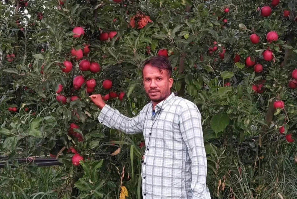 1771914010 1a5222abf418e74486efa30f413c7048