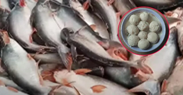 Gono obbuthan bijoy sadhinota copy