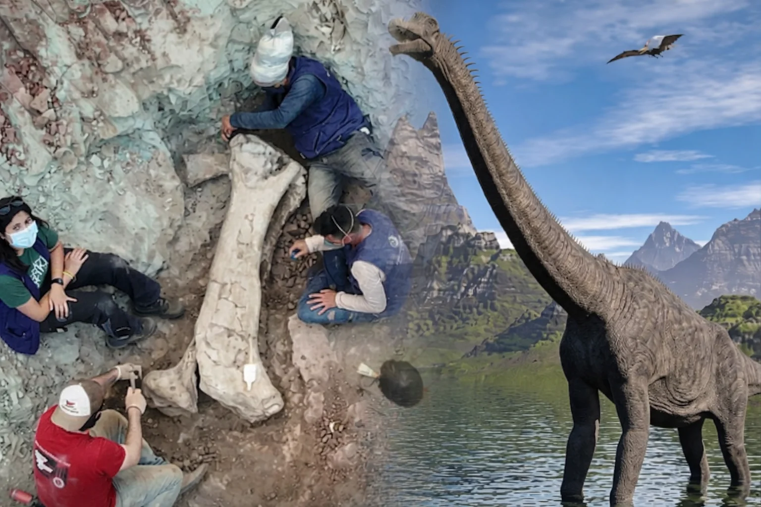 3fe6fdb0 1af7 44c4 b552 4b073fd3cd8e